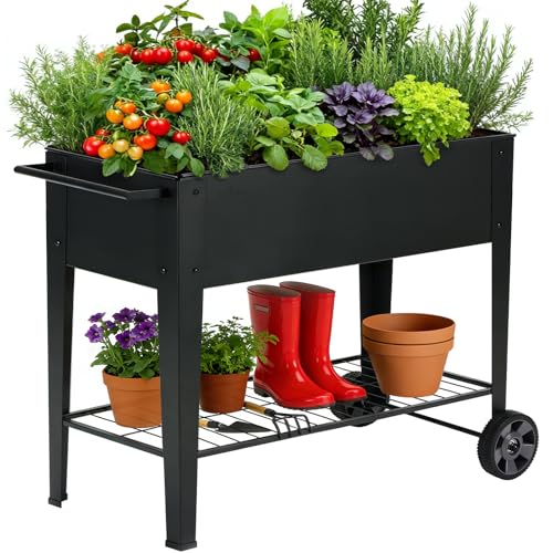 Foyuee 31.5" Tall Elevated Mobile Raised Garden Bed With Wheels and Shelf