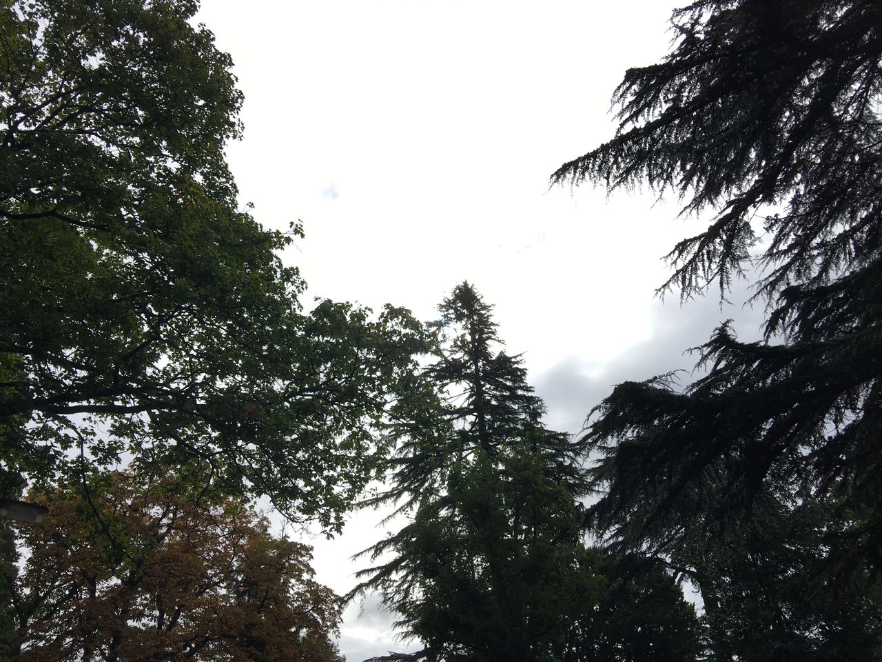 The composition of a picture can be dramatically altered depending on where you tap to focus