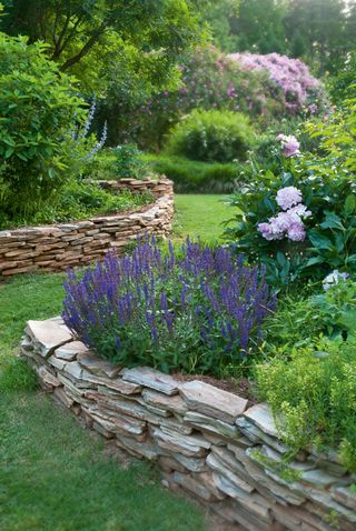 Low random stone walls creating raised beds in garden