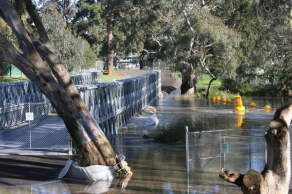 Lots of debris from the storms was caught on the temporary bridge today.