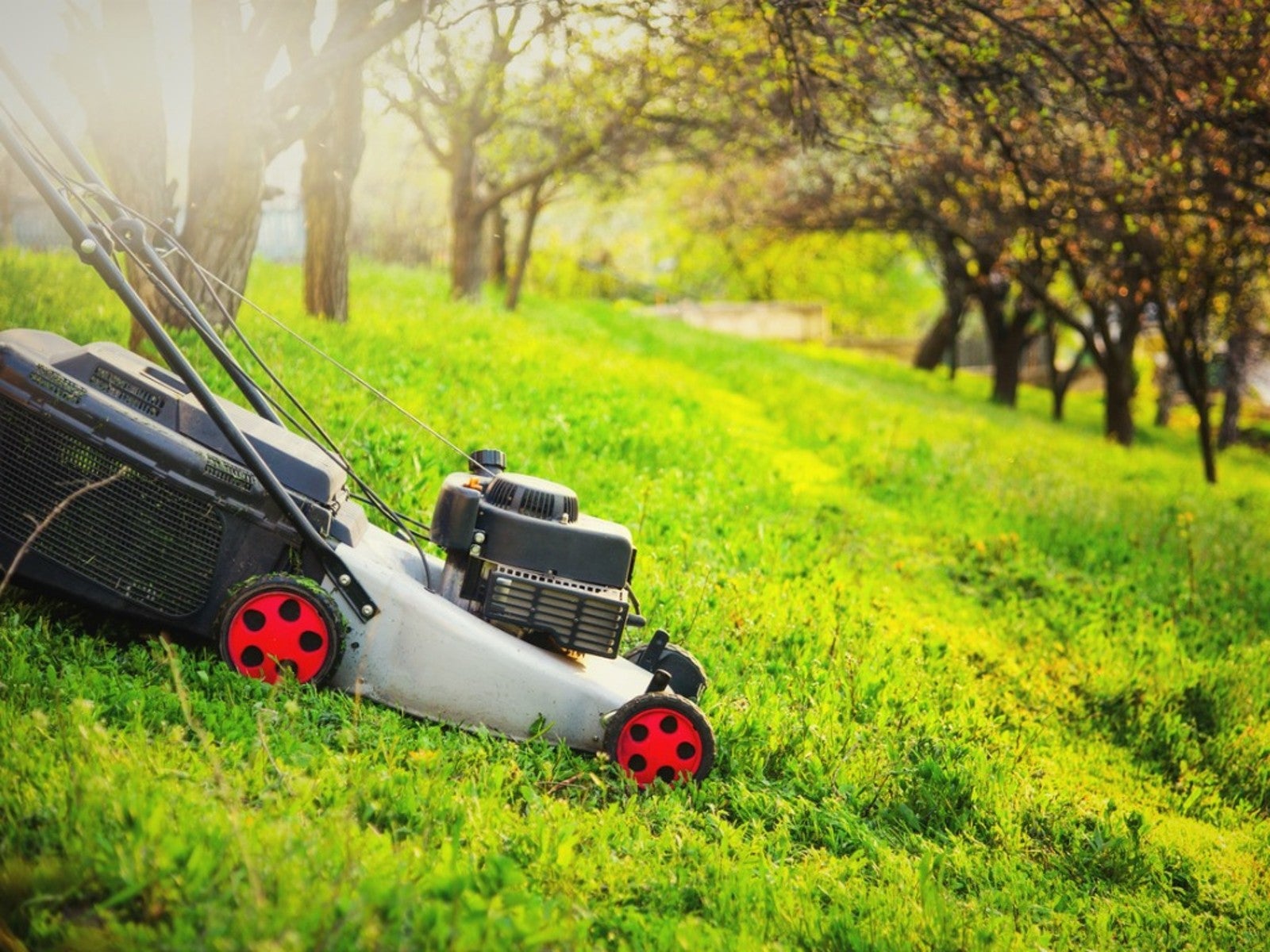 Mowing hills discount