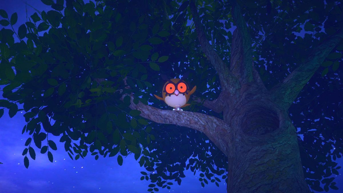 New Pok&eacute;mon Snap