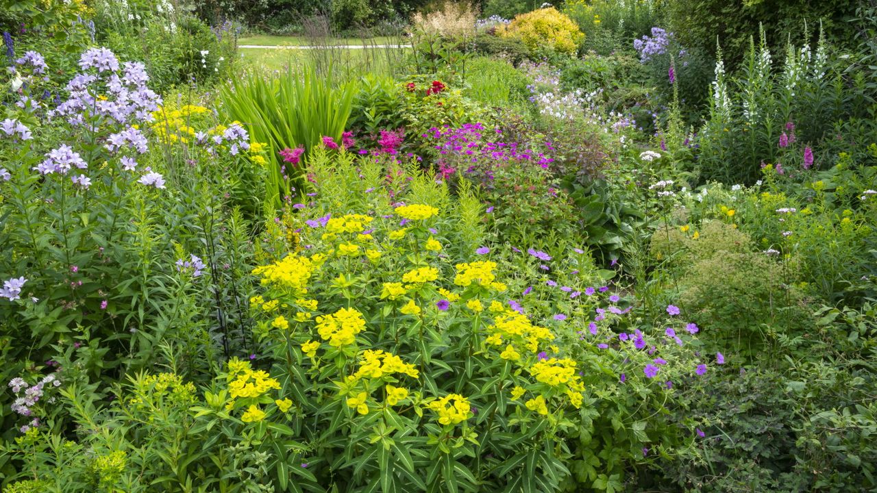 A flower bed full of shrubs, perennials, and annuals in bloom in summer