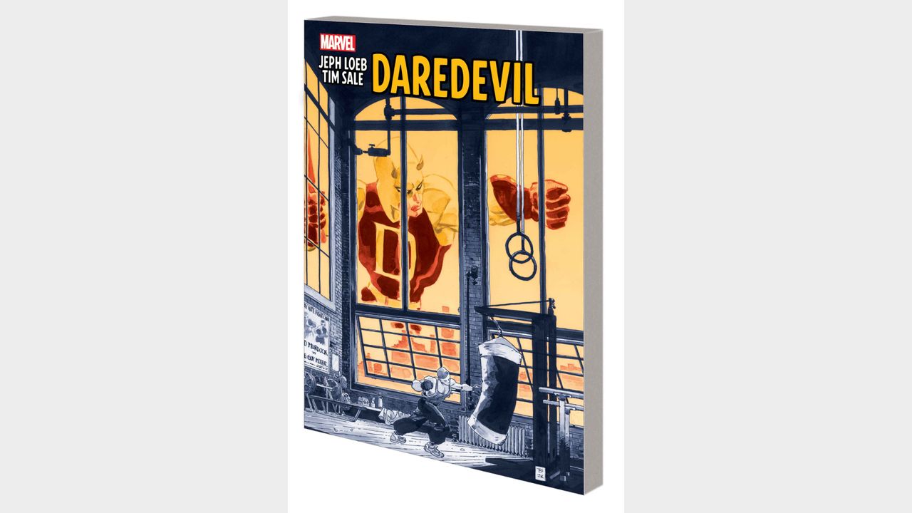 JEPH LOEB &amp; TIM SALE: DAREDEVIL TPB