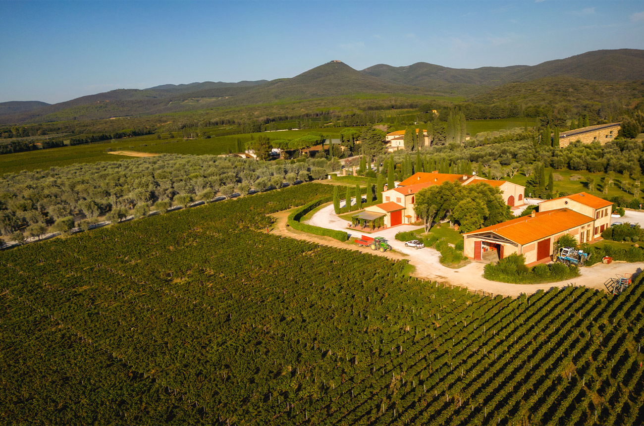 The Campo alla Sughera winery in Bolgheri DOC.