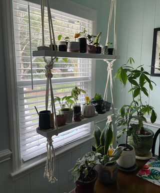 A bohemian DIY plant stand in dining area