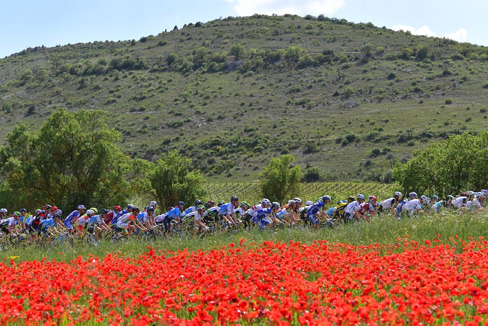 The peloton during stage 9 at the Giro d'Italia
