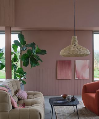 living room with pink walls, beige couch, black coffee table, rattan pendant light and large houseplant