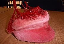 Hoof-blood-vessels.jpg