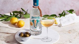 Amarula African Gin Martini