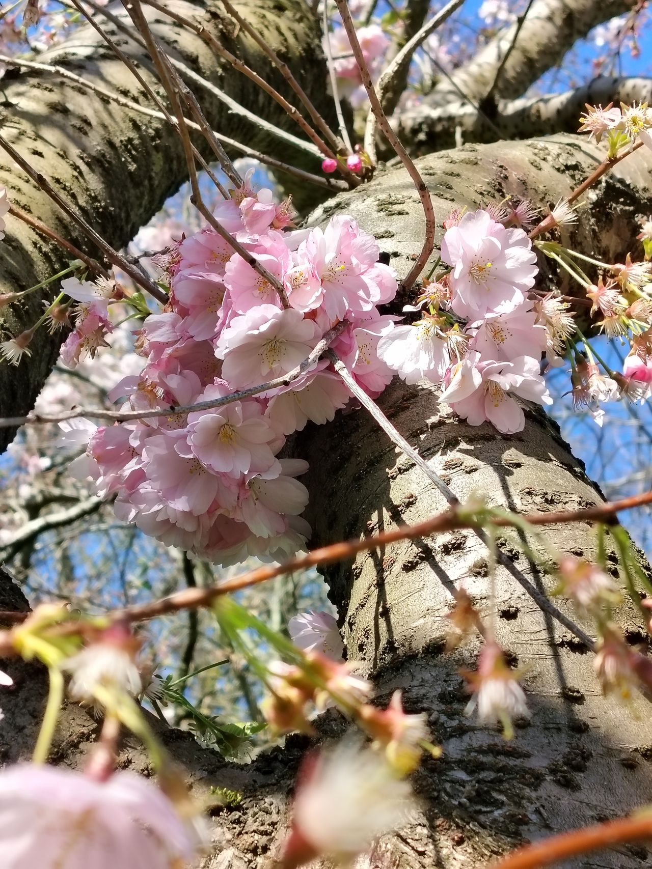 A photo captured on the OnePlus Nord CE 3 Lite 5G