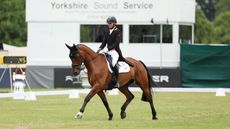 Tom Woodward and Low Moor Lucky in the 2025 Bramham Horse Trials dressage.