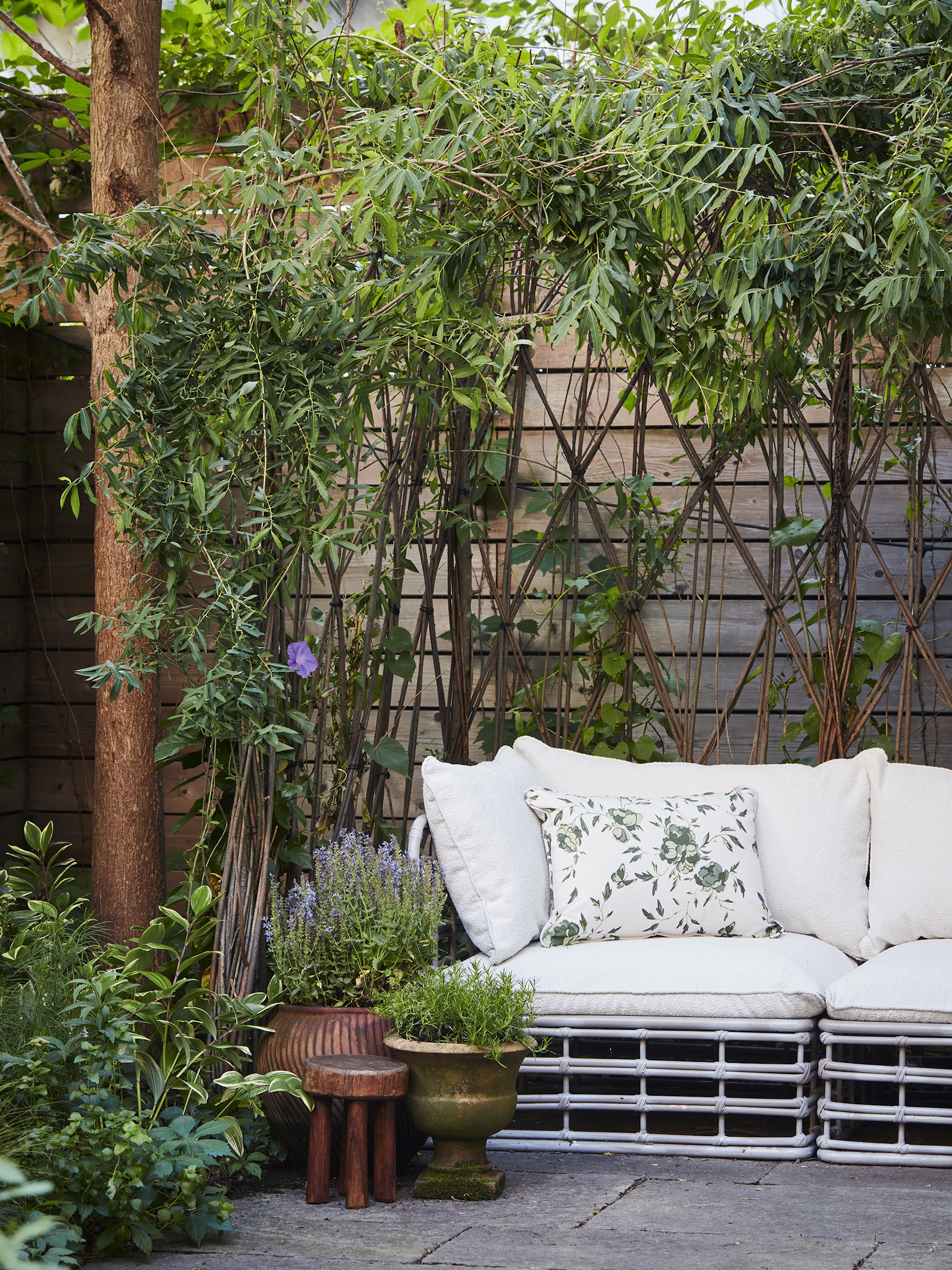 Barbara Bush Brooklyn Backyard