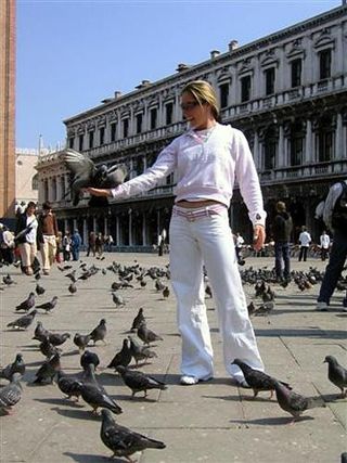Damn pigeons! at St Mark's Square
