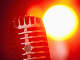 The microphone