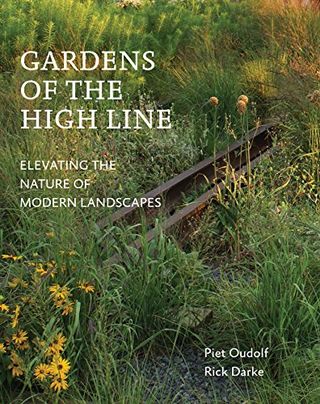 Gardens on the High Line: Elevating Nature in a Modern Landscape