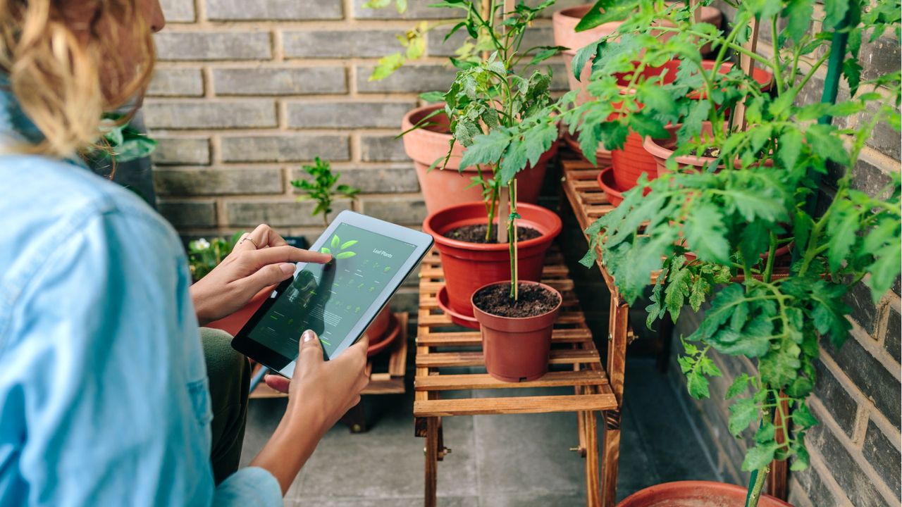 AI gardening