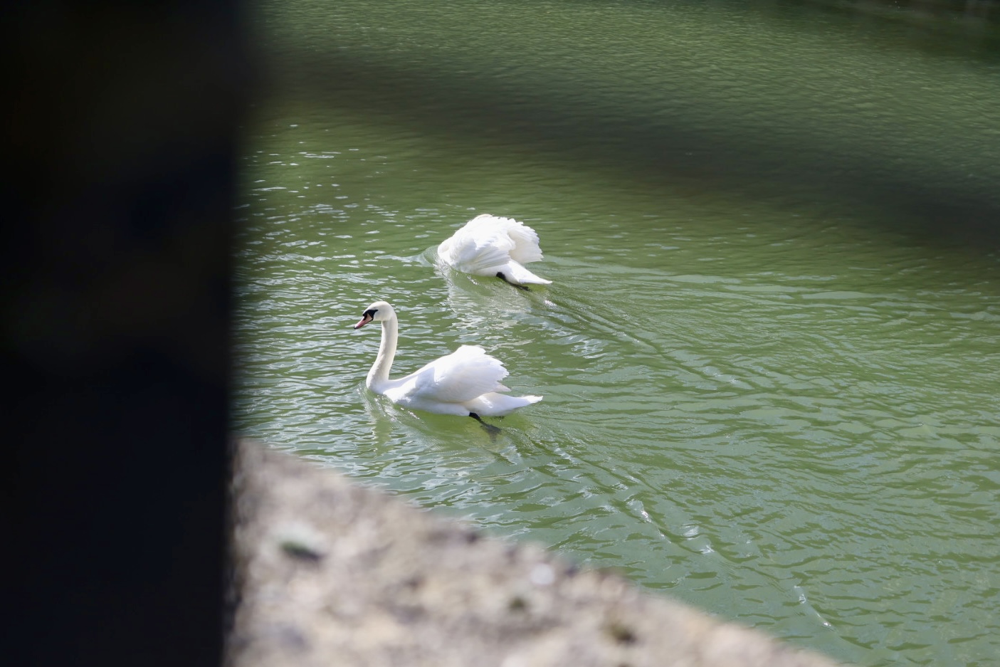 Canon PowerShot V1 sample images