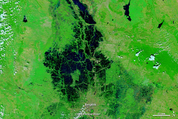 This image shows the Bangkok flooding in early November.
