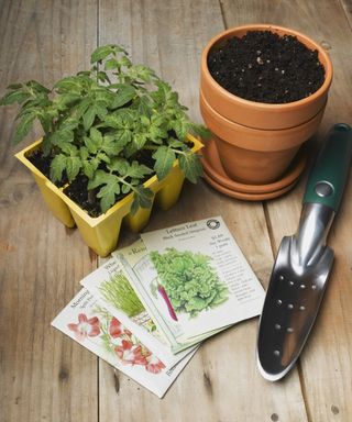 Seed packets with plant pot, trowel and seedlings