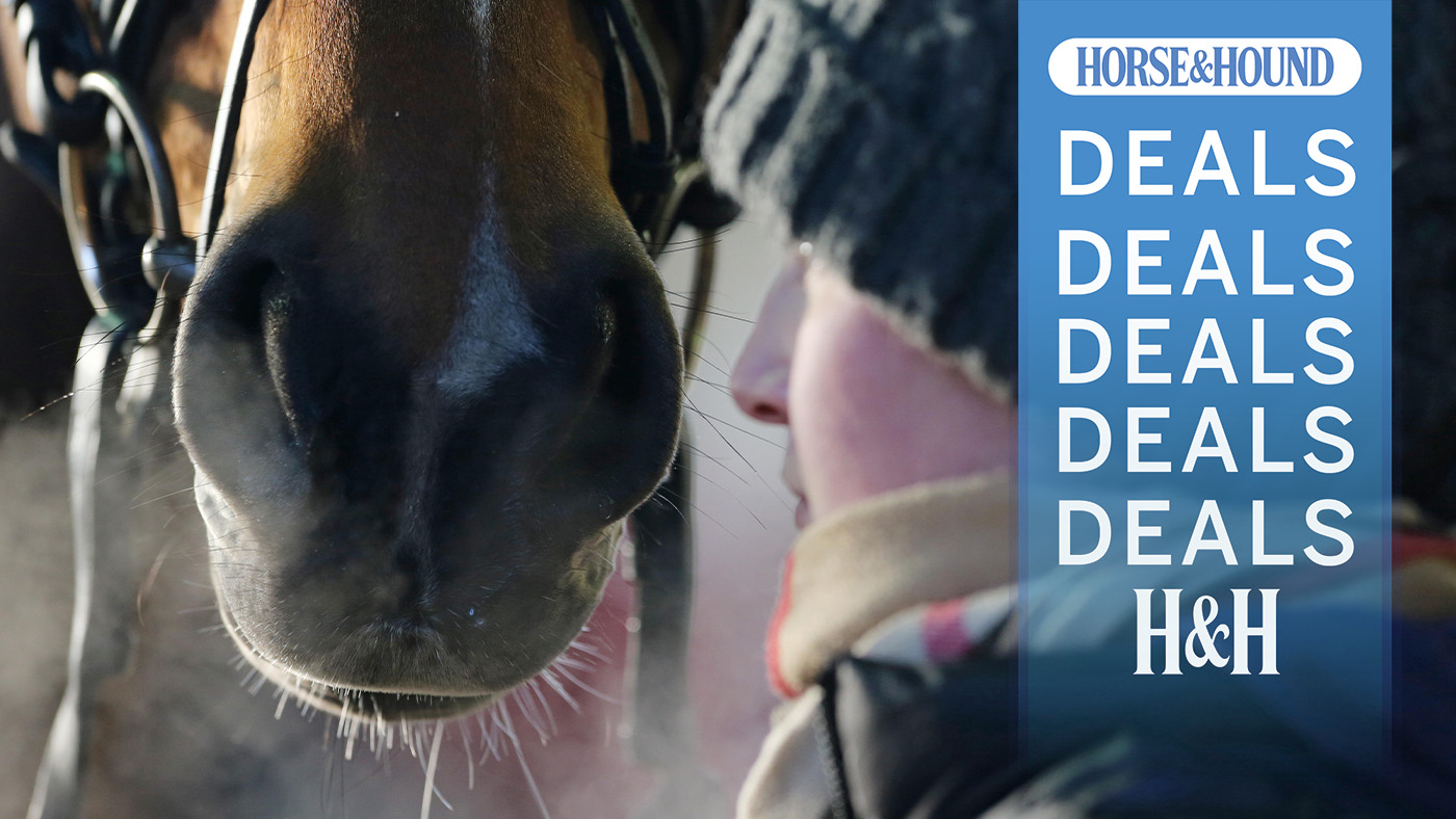Close up of horse groom in winter hat by horse&rsquo;s nose and breath showing in the cold, with H&amp;H deals graphic