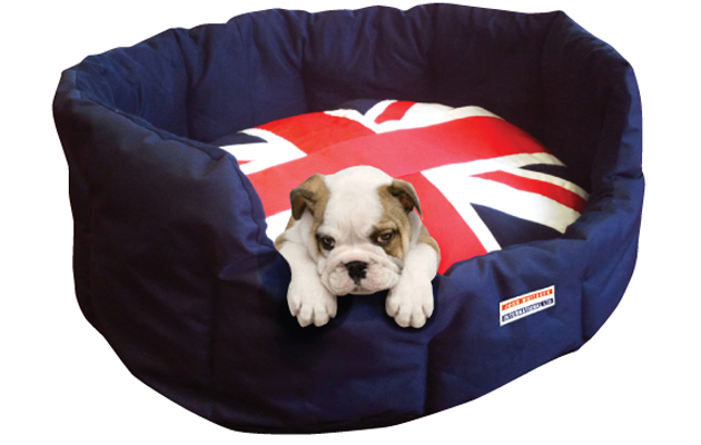JW-Dog-BEd