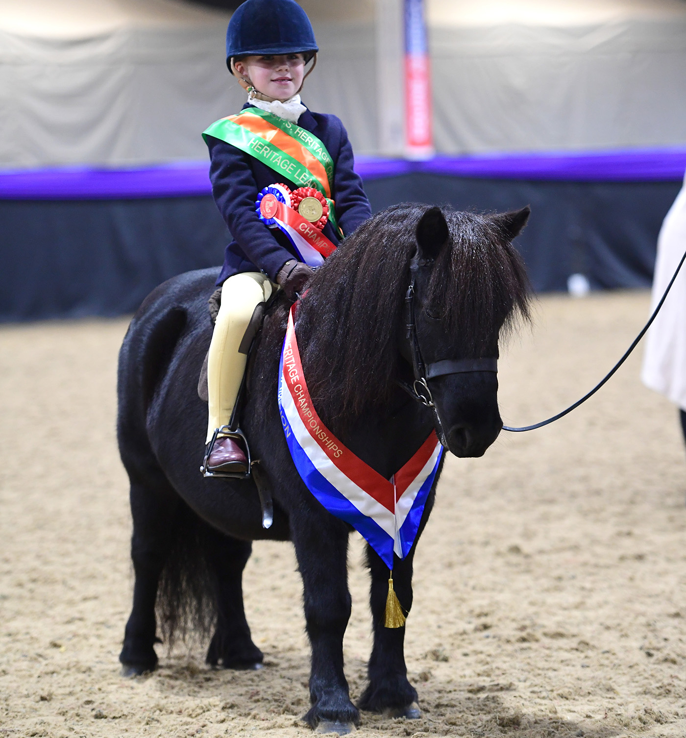 Heritage Show 15.10.2266200