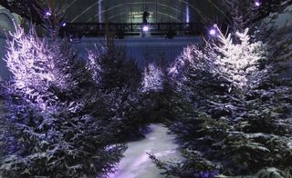 Moschino: The calm before the snowstorm at Moschino's winter wonderland
