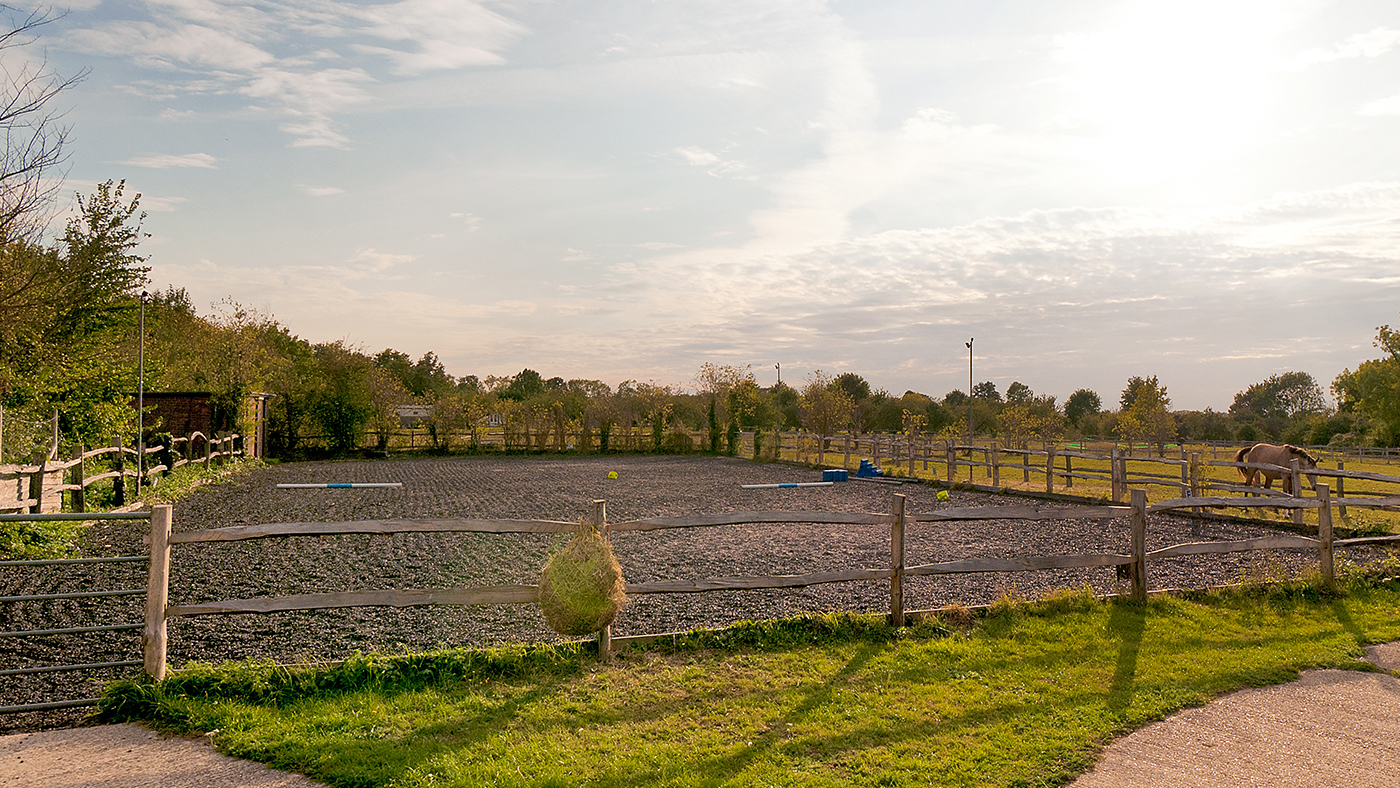 Orchard16