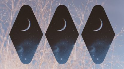 When is the next new moon feature image; three new moons on a white snowy tree background