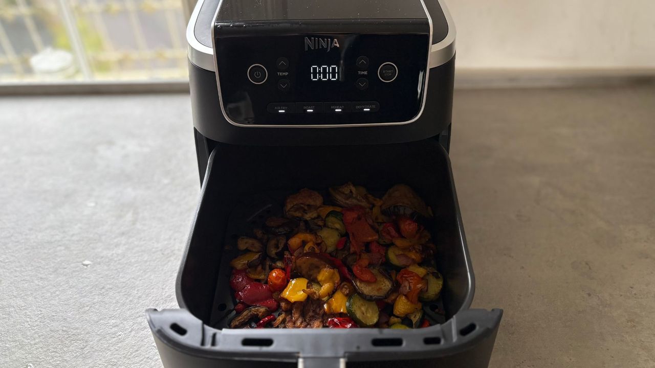 Testing the Ninja Air Fryer Pro in our kitchen