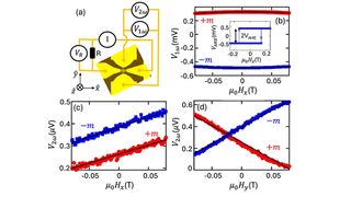 Quantification of orbital torques