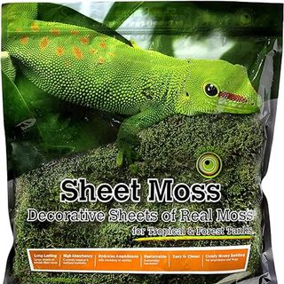 Sheet moss from Amazon