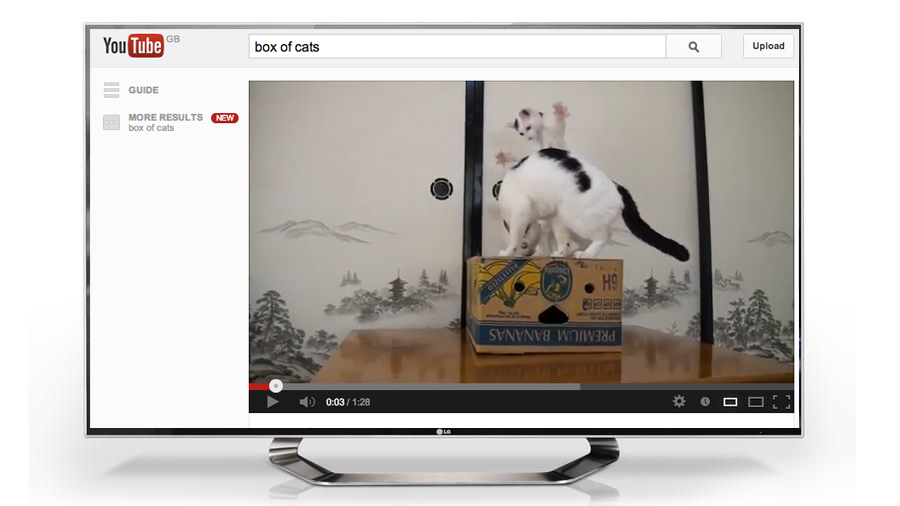 Cat videos break out with YouTube TV channel coming to Freesat