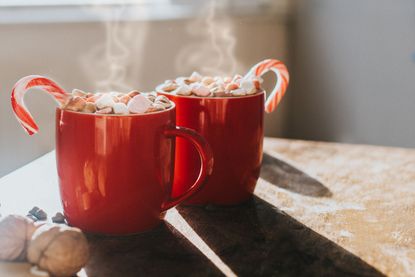 two red mugs with hot chocolate marshmallows and candy canes in the winter sun