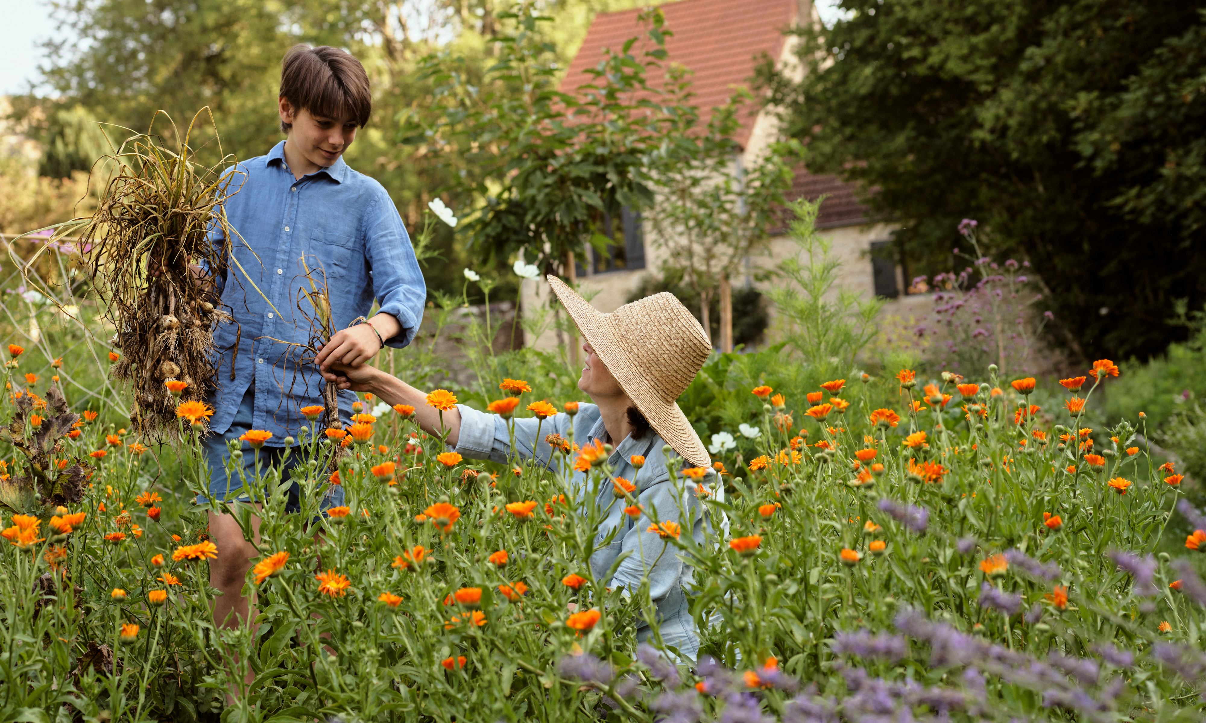 Woman in a meadow of orange marigolds passing harvested stems to a boy