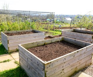 Raised wooden flower bed