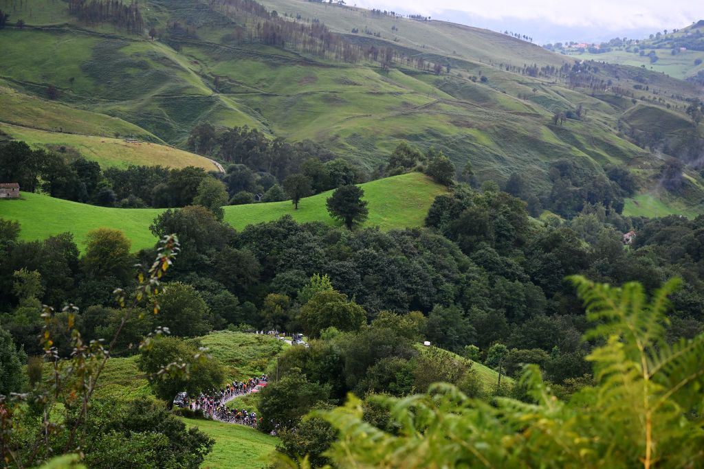 SANTANDER SPAIN SEPTEMBER 04 A general view of the peloton climbing to the Alto de la Estranguada 681m during the La Vuelta 79th Tour of Spain 2024 Stage 17 a 1415km stage Arnuero to Santander UCIWT on September 04 2024 in Santander Spain Photo by Dario BelingheriGetty Images