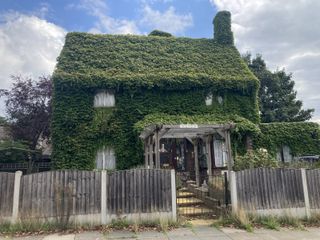 A house covered in Virginia Creepers