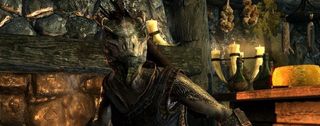 The Elder Scrolls V Skyrim - alert Argonian