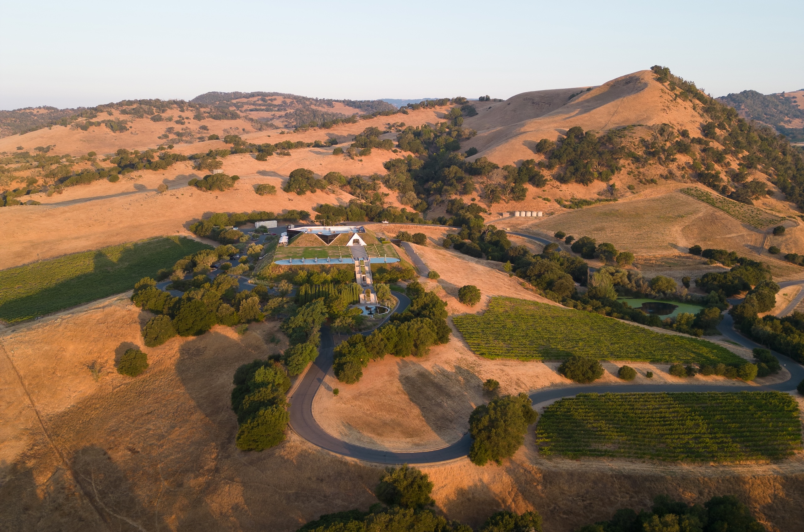 Aerial view of Artesa winery and its vineyards in the hills of Carneros
