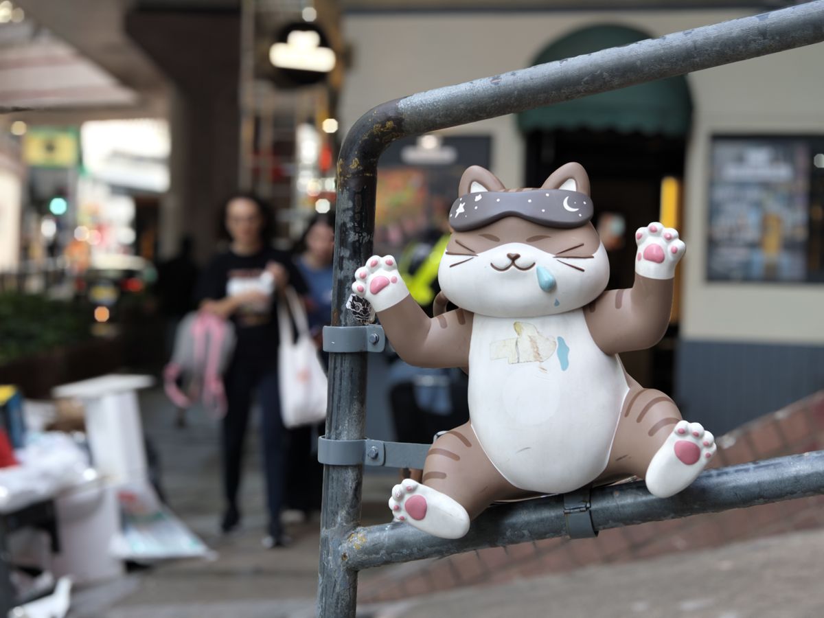 Sample image shot on the Realme GT 8 Pro