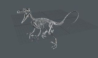 Jet Cooper creates 3D printed skeletons of dinosaurs for a living