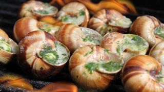 Dorset Snails are 'painstakingly' raised