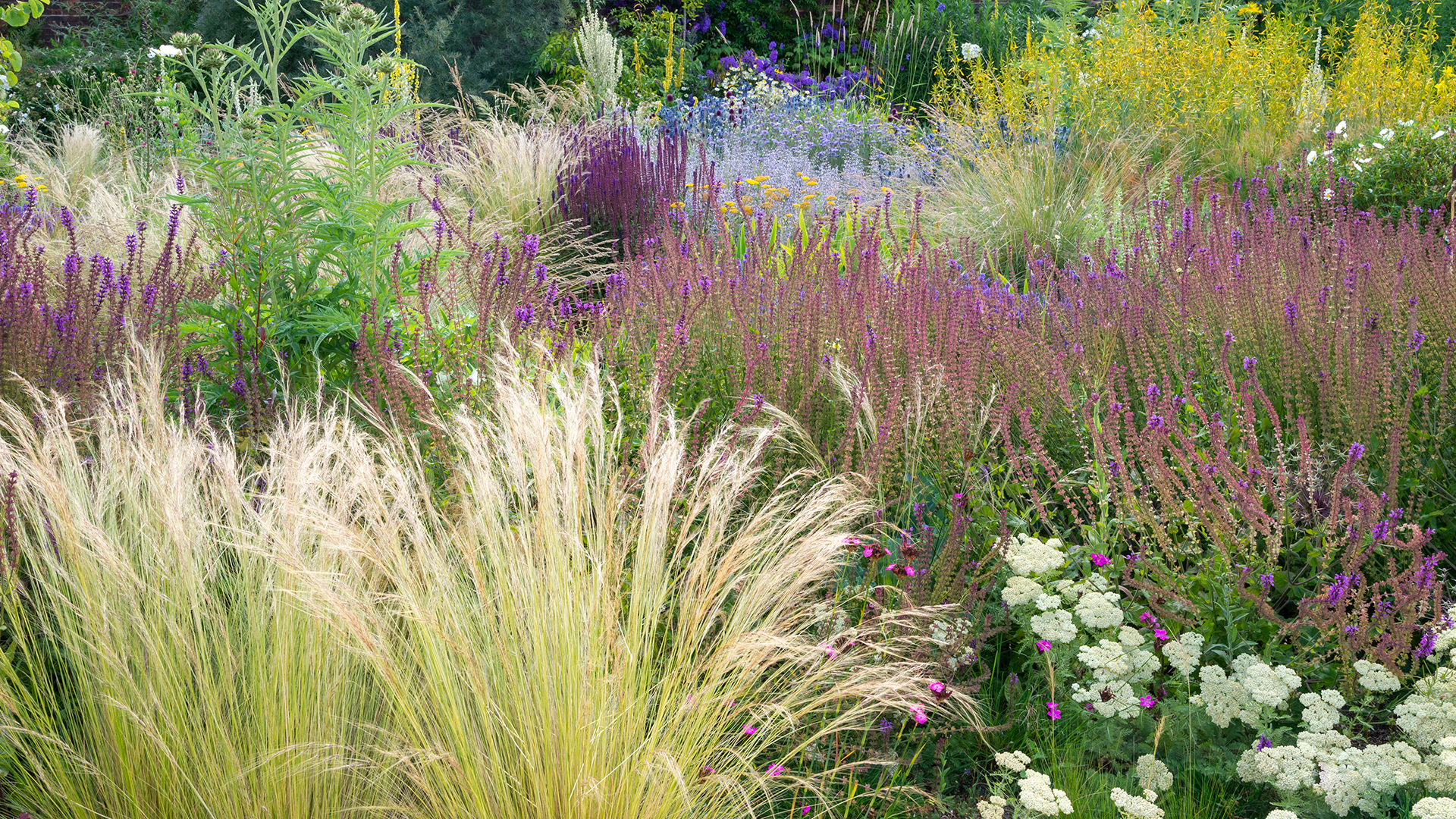 A garden with a display of ornate grasses