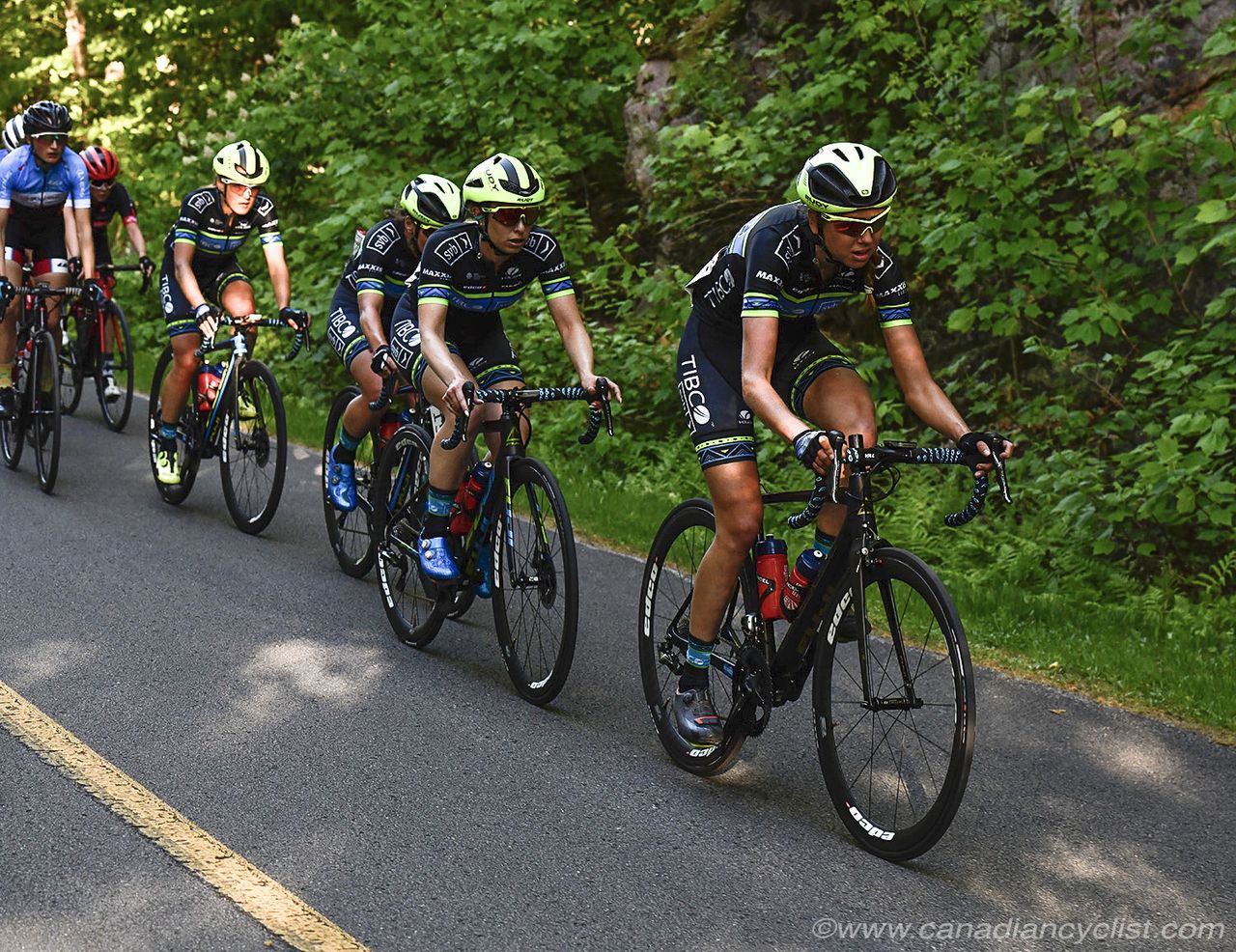 TIBCO chasing