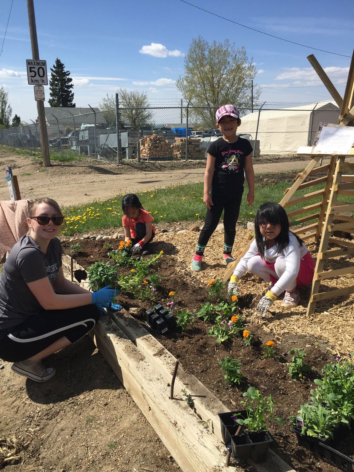 Planting flowers