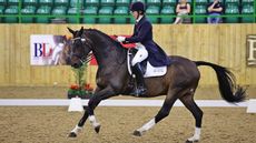 Pammy Hutton riding Belmondo II
