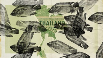 Photo collage of the shape of Thailand, partially obscured by many tilapia-shaped stamps.