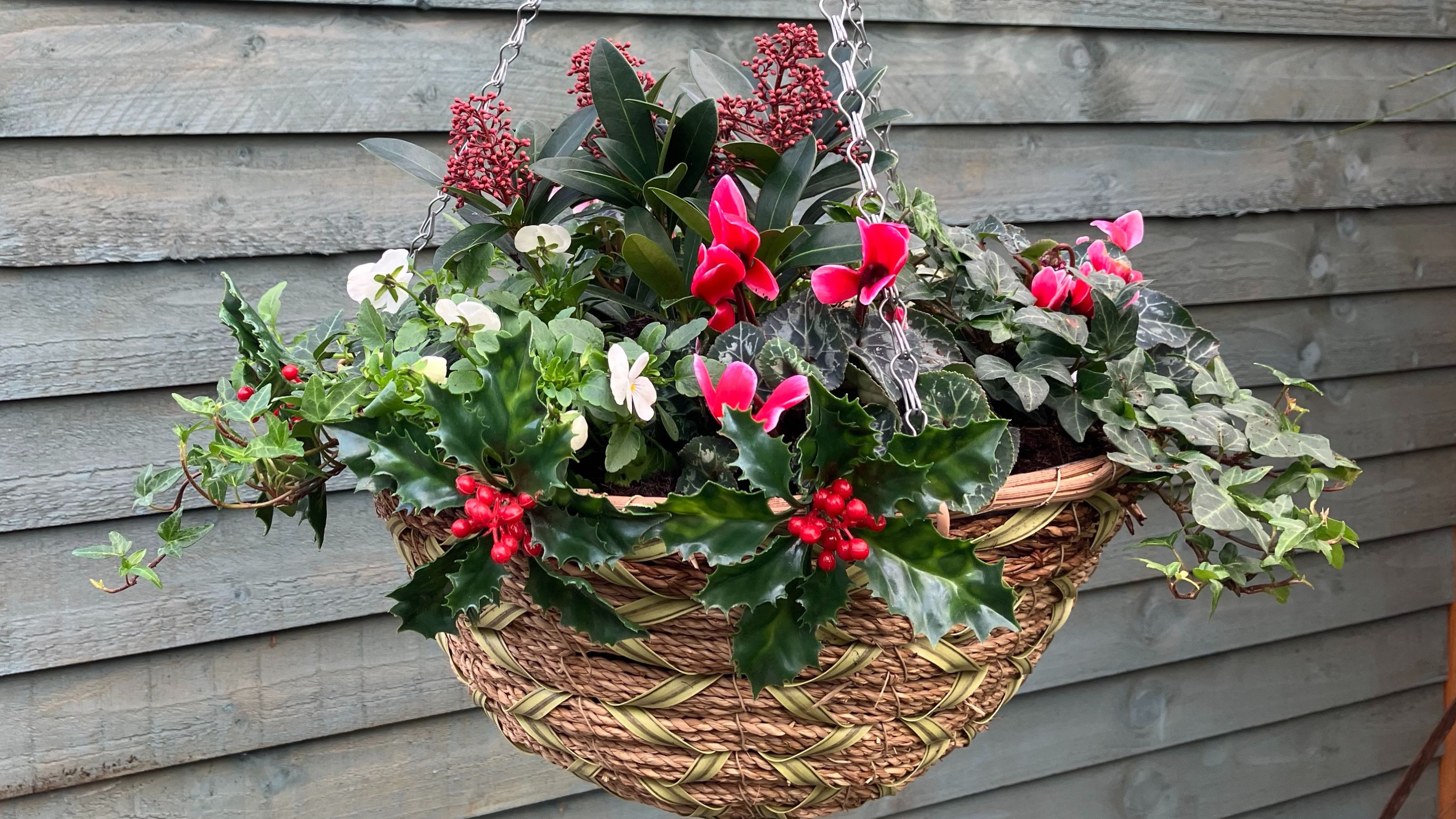 winter hanging basket 